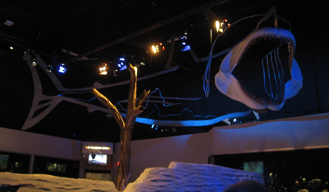 The outline of a Megalodon shark floats about visitors in The Hall of Florida Fossils.